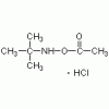 O-乙?；?N-叔丁基羥胺鹽酸鹽>98%
